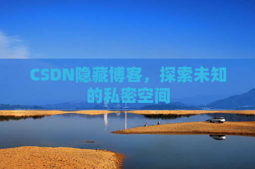 CSDN隐藏博客，探索未知的私密空间